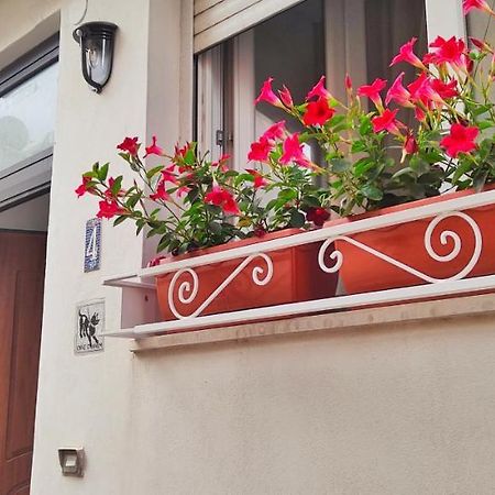 فندق كابريفي  Casa Poseidonia المظهر الخارجي الصورة